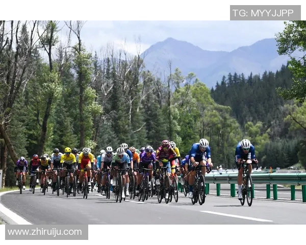 环青海湖国际公路自行车赛盛况空前骑行爱好者的梦想之旅 环青海湖国际公路自行车赛盛况空前骑行爱好者的梦想之旅