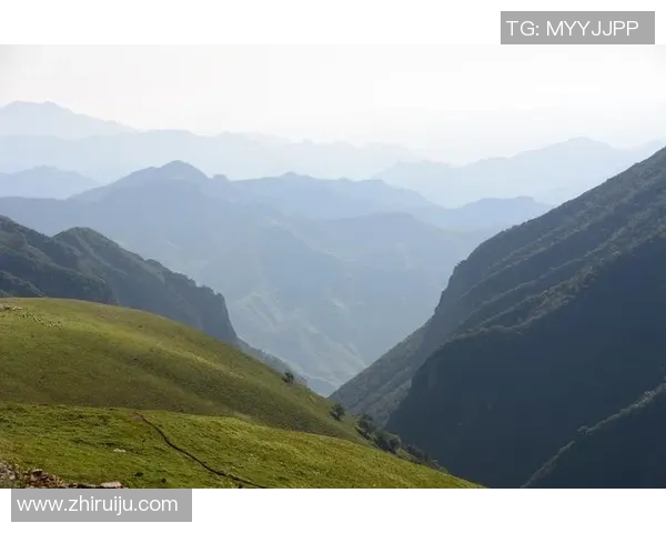 姜山冷门探秘：揭示鲜为人知的历史与文化之美