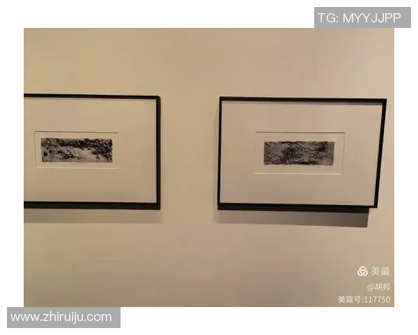 索恩梅克的传奇旅程探索与创新交织的艺术之路