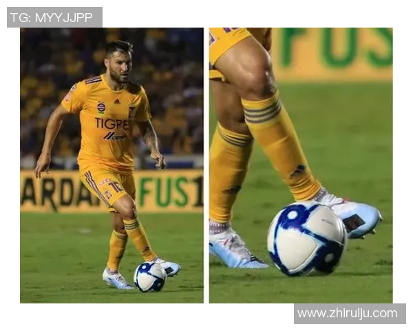 老虎大学与莱昂的精彩对决结果揭晓引发热议